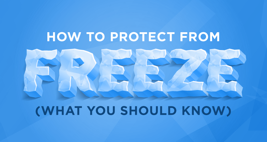 Protect Your Shipments from Freeze